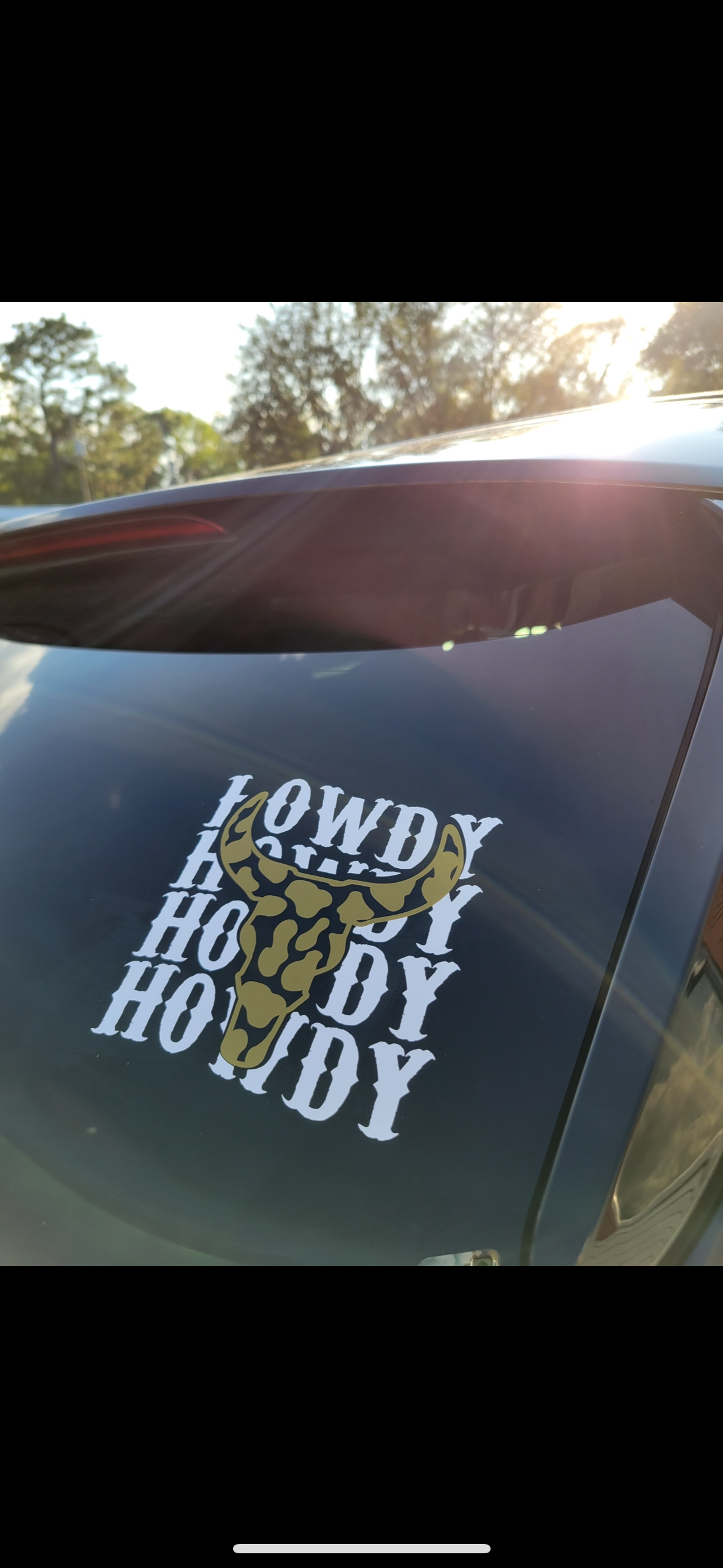 Howdy Car Decal